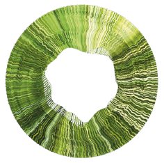 Riv Circular
